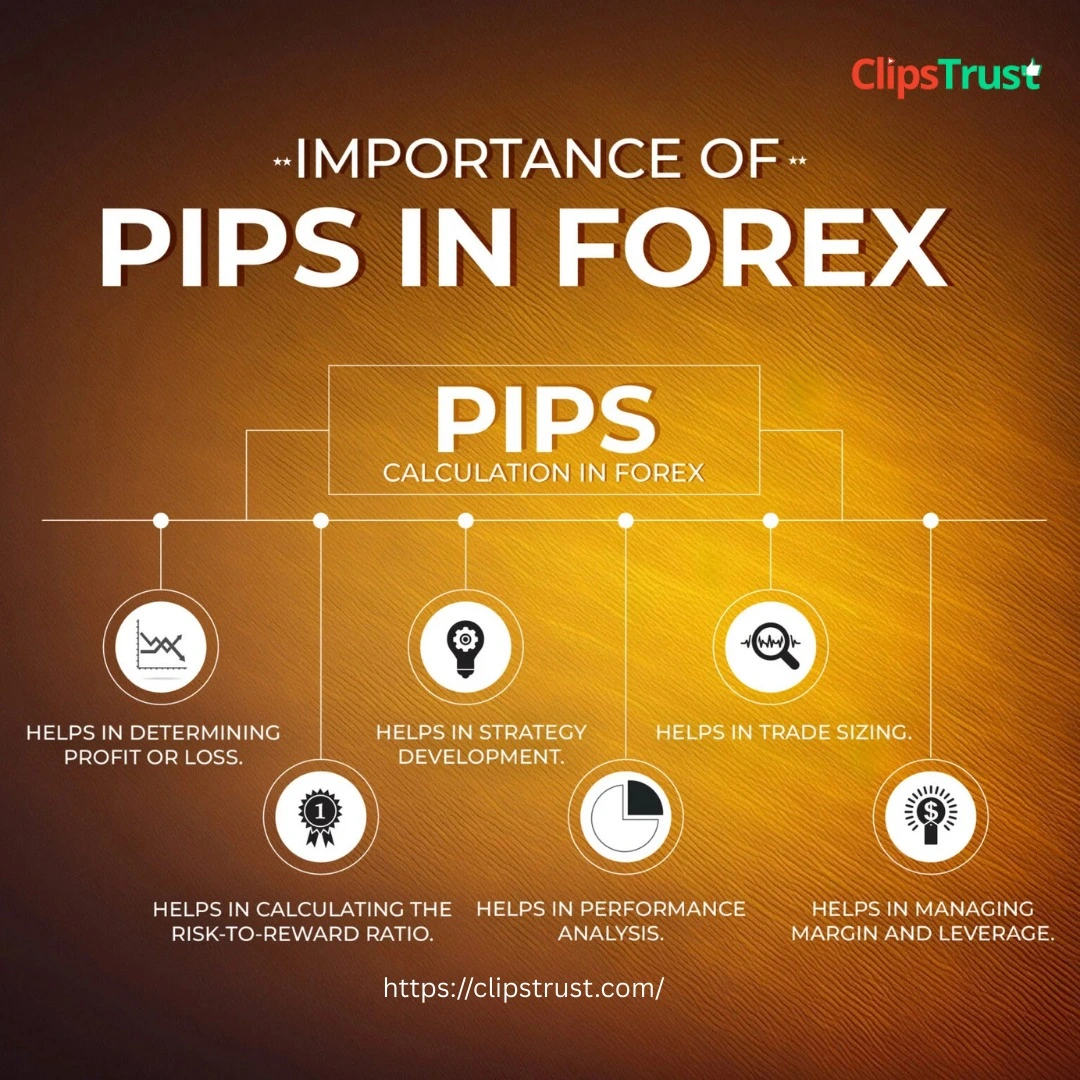 importance of pip